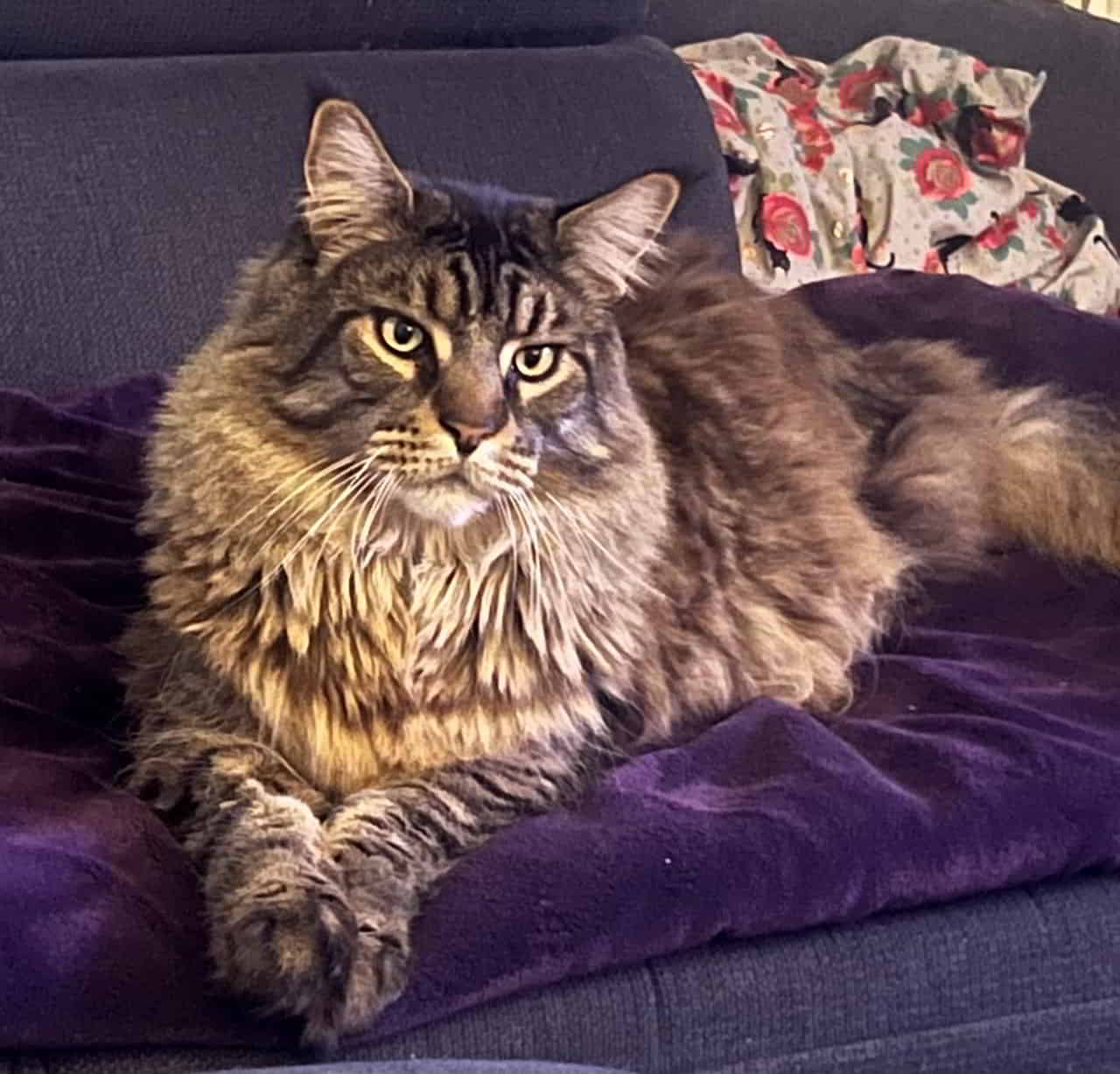 Einen schönen Sonntag wünscht Volker Einen schönen Sonntag wünscht Volker