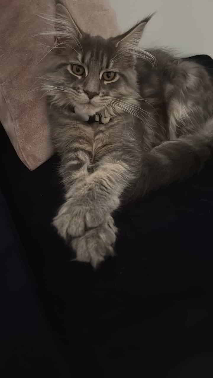 Emmy wünscht ein wundervolles Wochenende Emmy wünscht ein wundervolles Wochenende