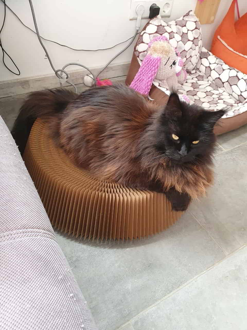 Heute hingestellt und erstmal für gut empfunden Heute hingestellt und erstmal für gut empfunden