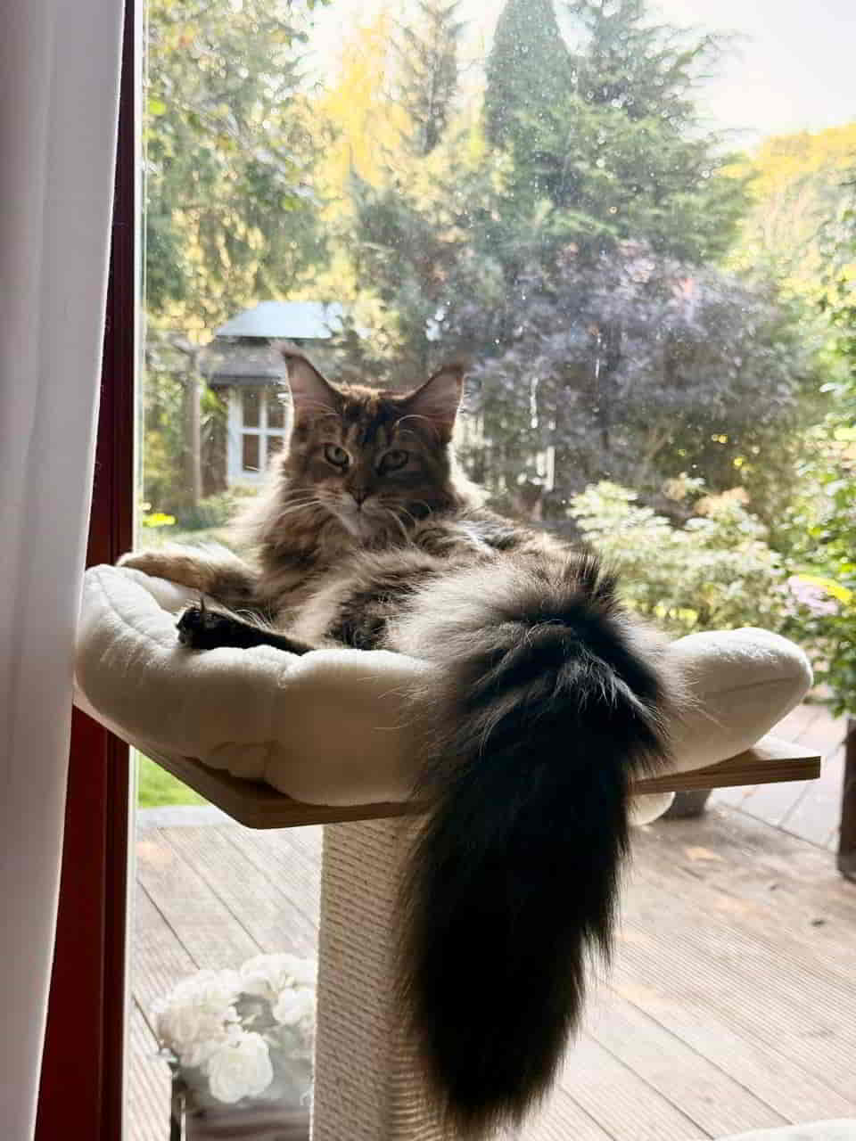 Ich finde da hat sie irgendwie n ElenaBlick Ich finde da hat sie irgendwie n ElenaBlick