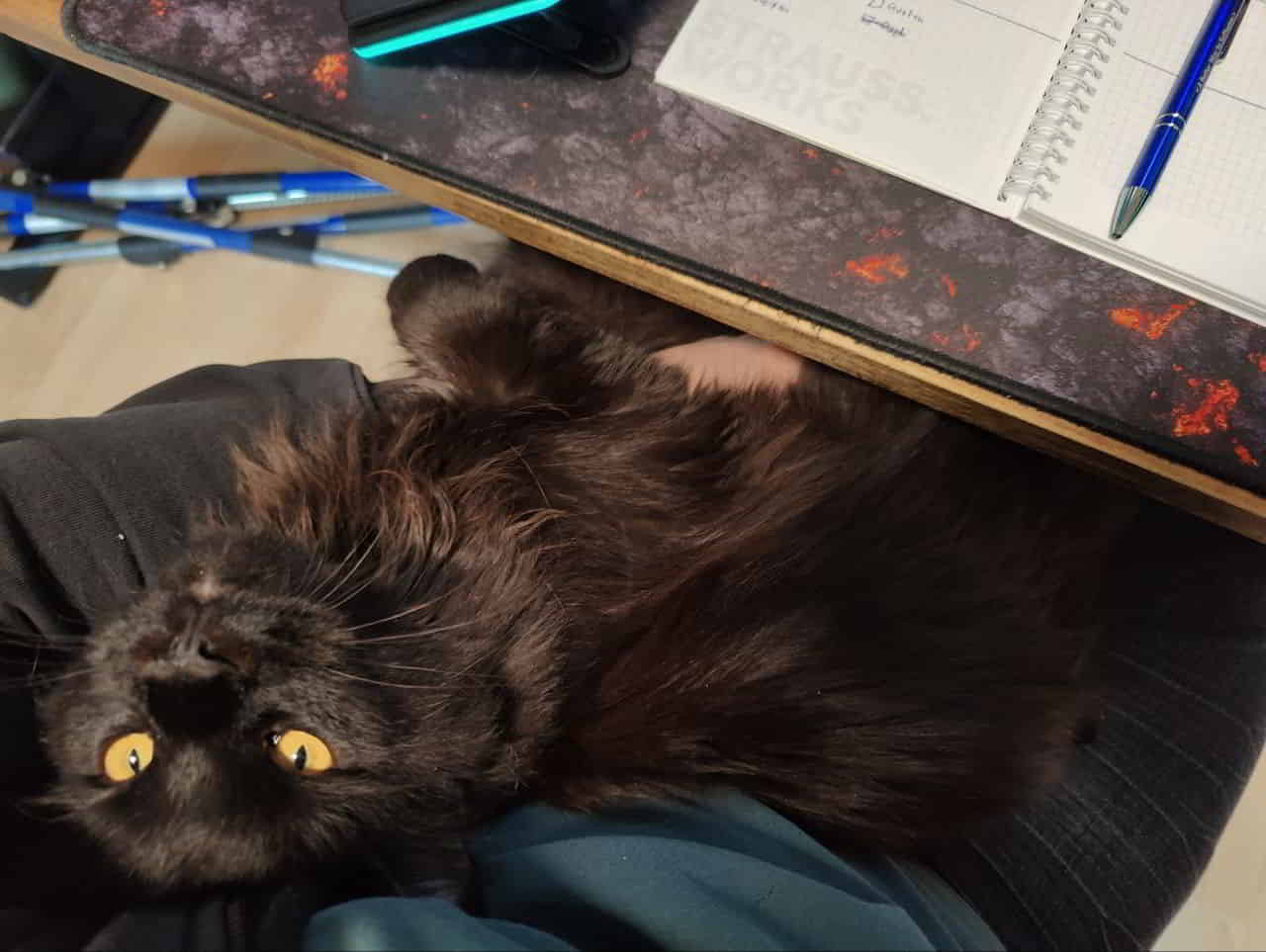 Ich hab hier ein Exemplar das zur Hälfte aus Blödsinn und zur anderen Hälfte aus Flausch besteht. Ich hab hier ein Exemplar das zur Hälfte aus Blödsinn und zur anderen Hälfte aus Flausch besteht.