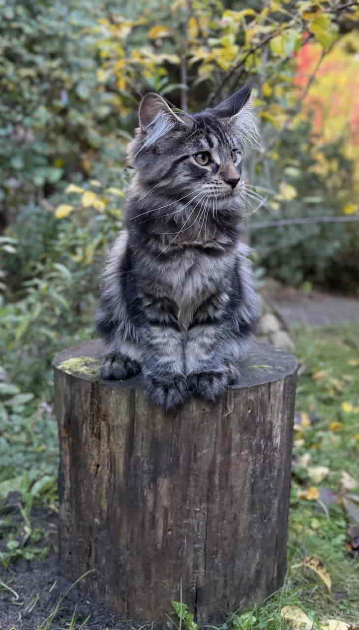 Neffe Enzo grüsst seine Tante Zoey Neffe Enzo grüsst seine Tante Zoey