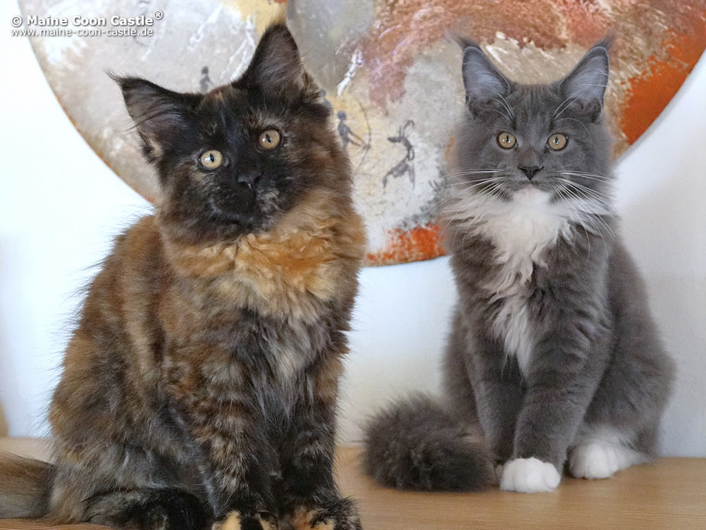 Nelly und Maiky
