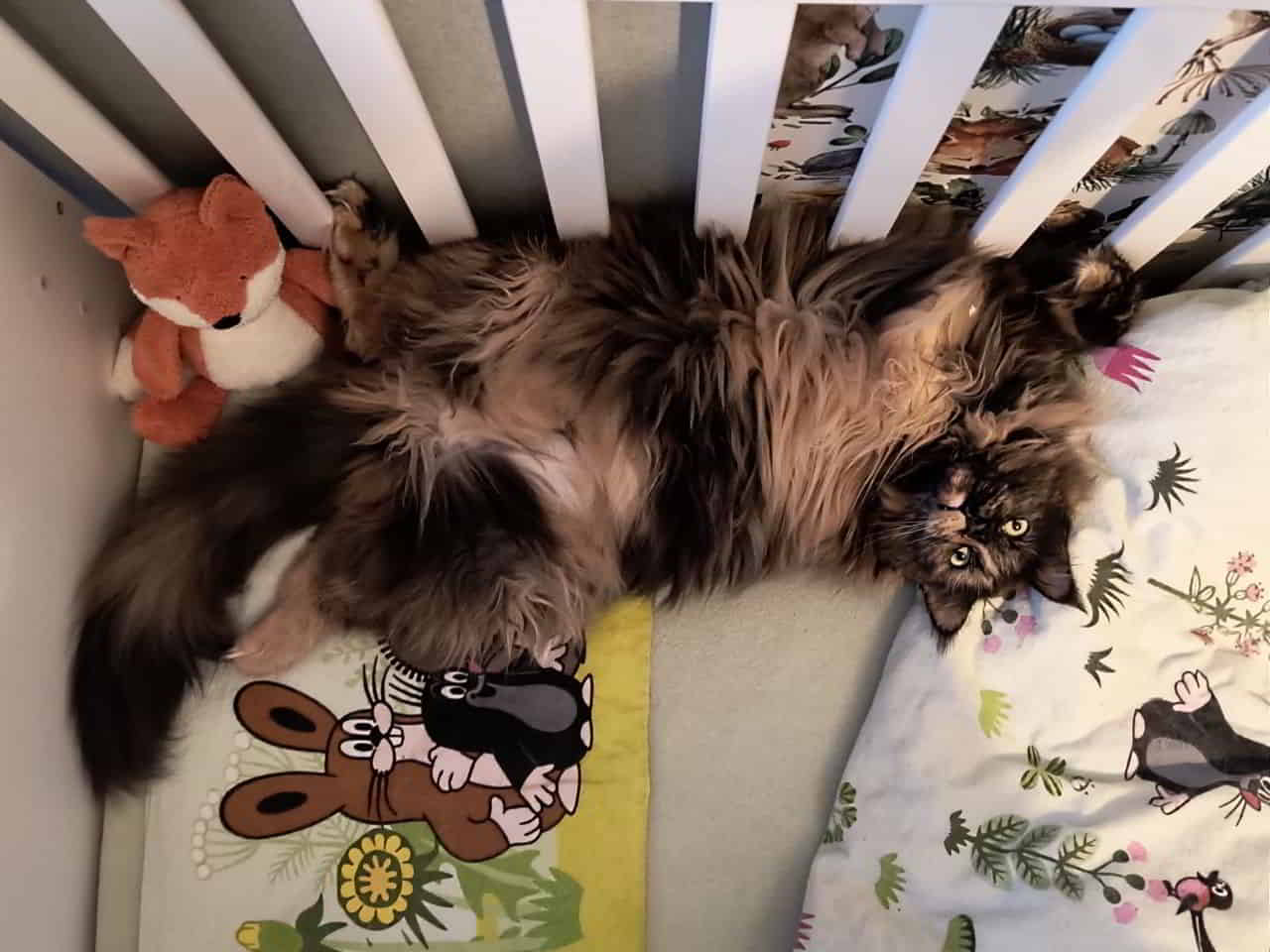 Soooooo entspannt habe ich den Ninja auch noch nicht gesehen Soooooo entspannt habe ich den Ninja auch noch nicht gesehen