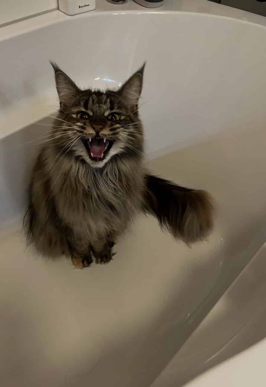 Unser „Trojanisches Pferd“ Ushi Unser „Trojanisches Pferd“ Ushi