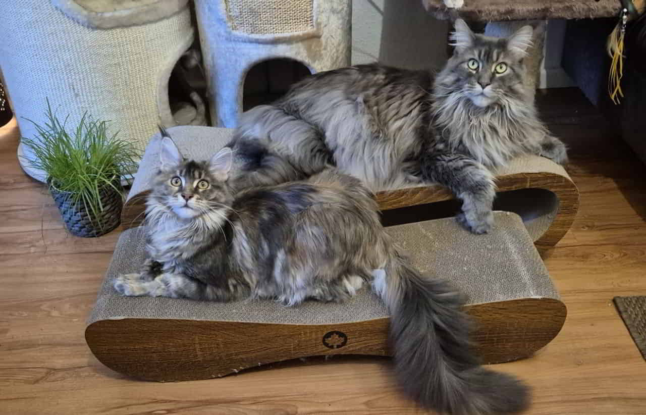 Was auch immer da an der Decke ist… Was auch immer da an der Decke ist...