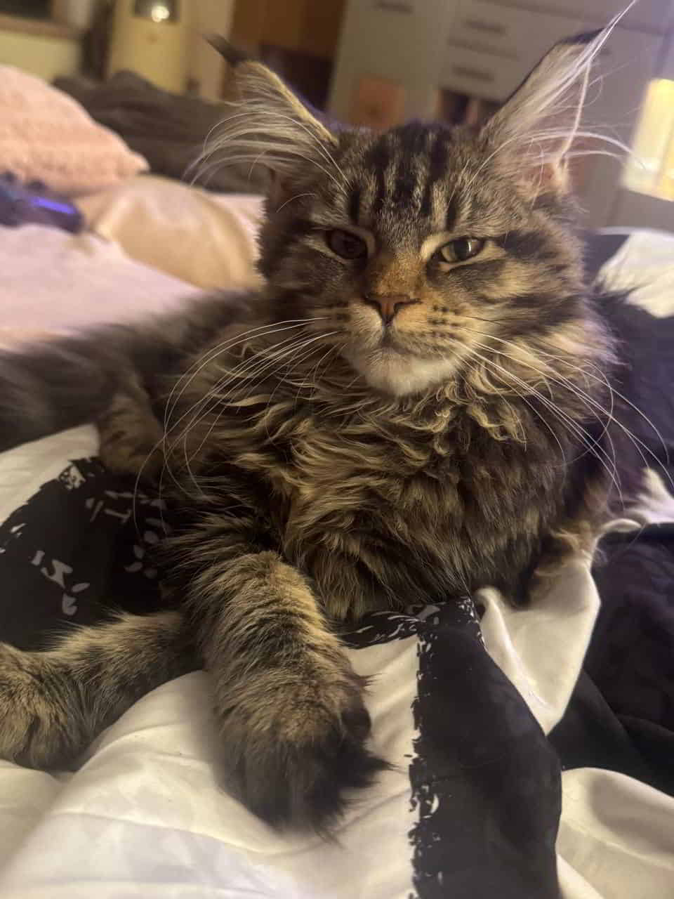 Dana ist ein echtes Kuschelmonster