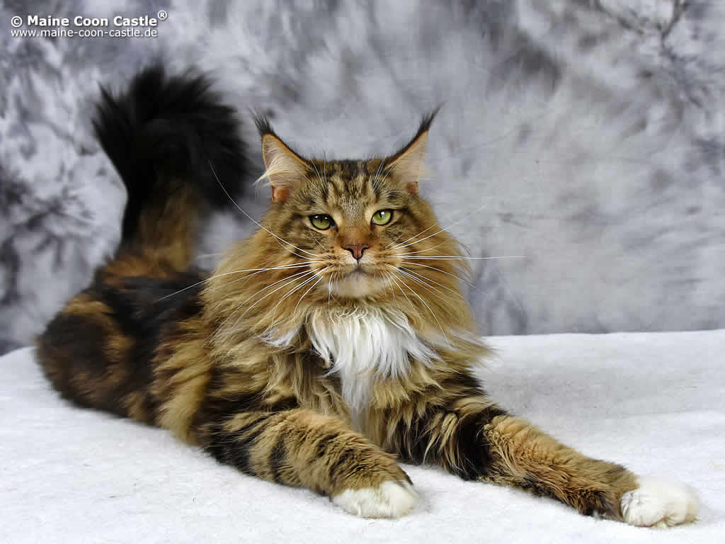 Eli 1 Jahr und 3 Monate alt