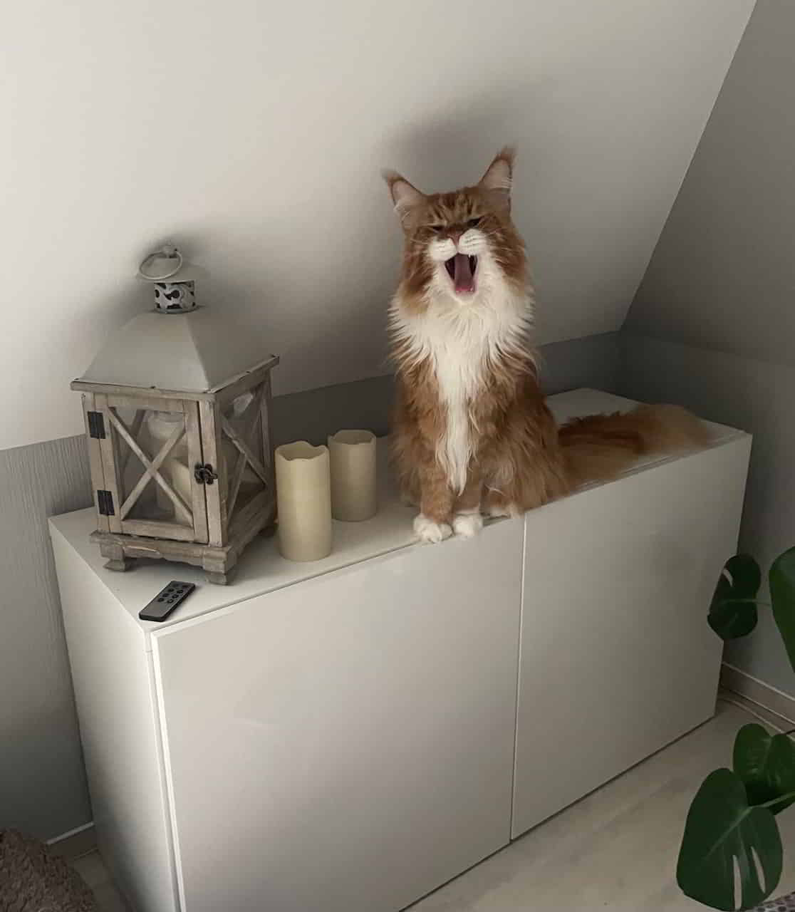 Erik ist noch ein bisschen müde