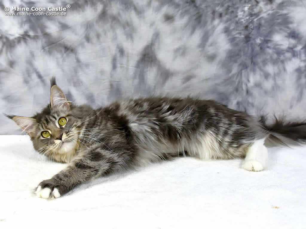 Fiby 1 Jahr und 4 Monate alt