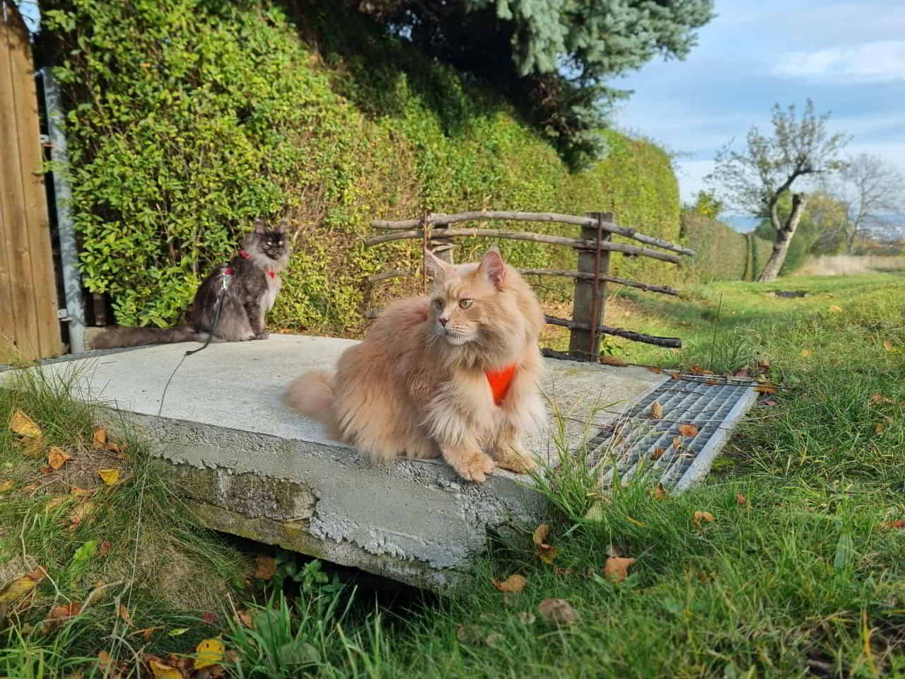 Franka & Justus Wochenendspazigergang