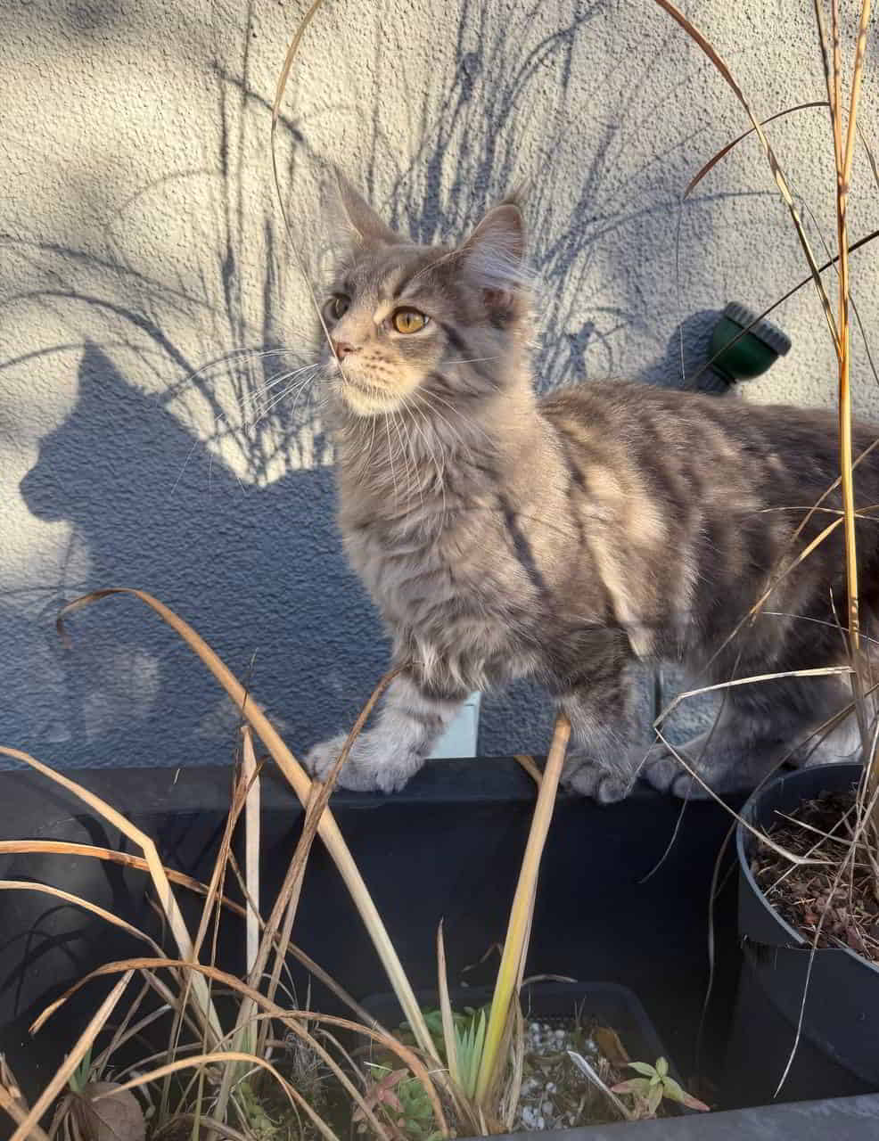 Guten Morgen auch von Emmy. München meldet auch Sonnenschein