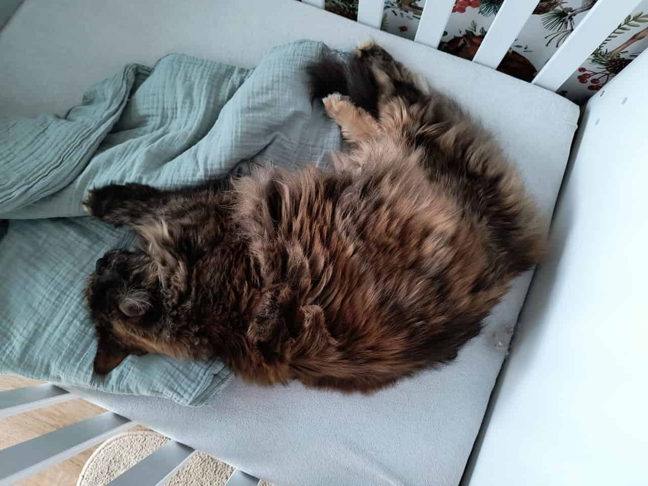 Jutta hinter Gittern...