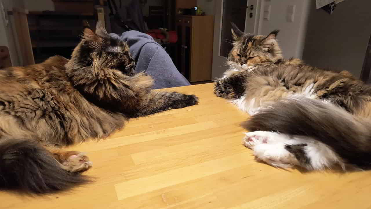 Jutta und Wilma Tochter und Mutter