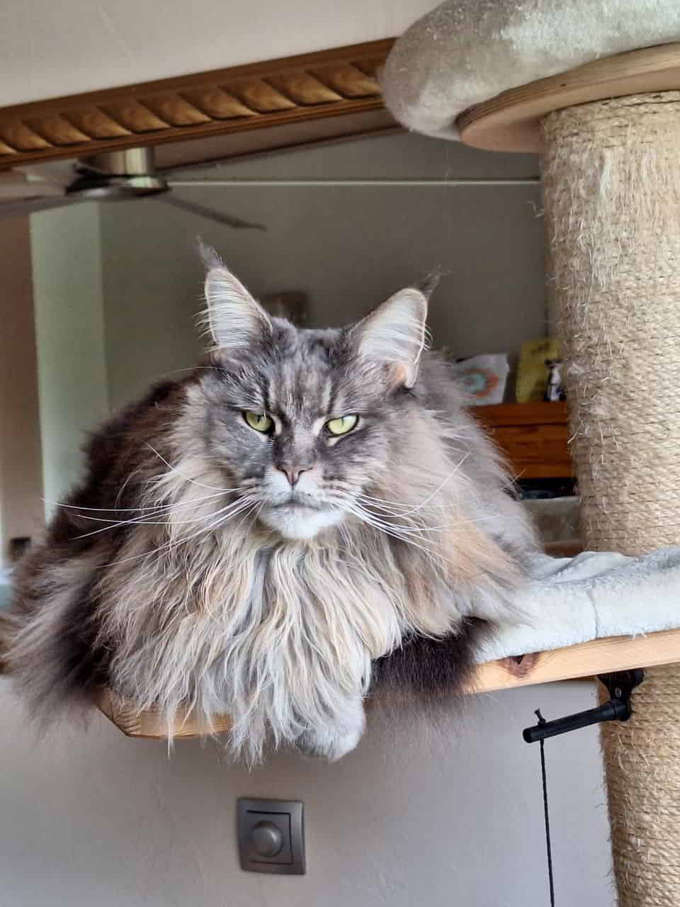 Königin Jada hält Hof