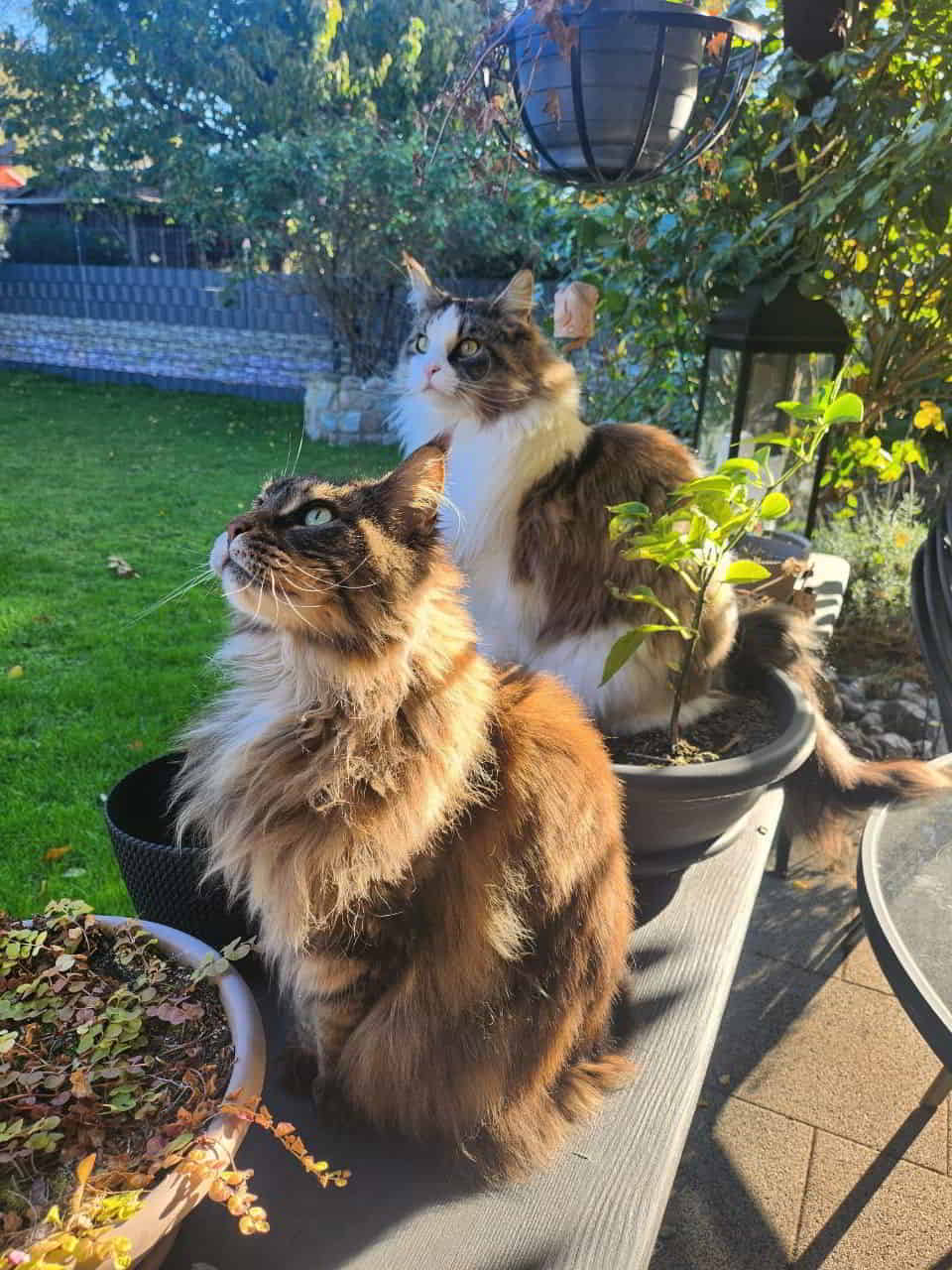 Moin. Dina und Pelle erfreut der klare Himmel