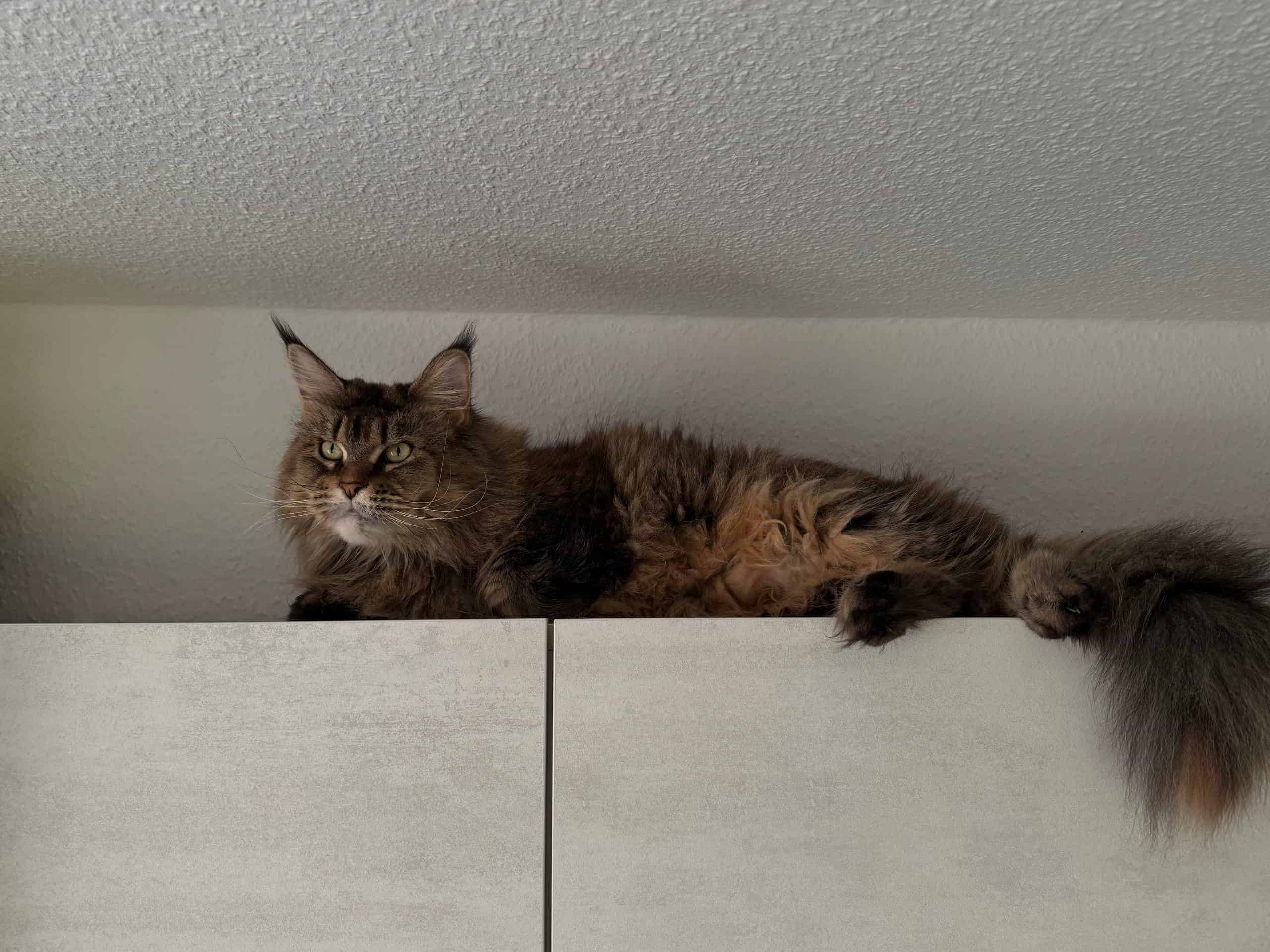 Nadja bestaunt die Küche mal mit einer anderen Sichtweise