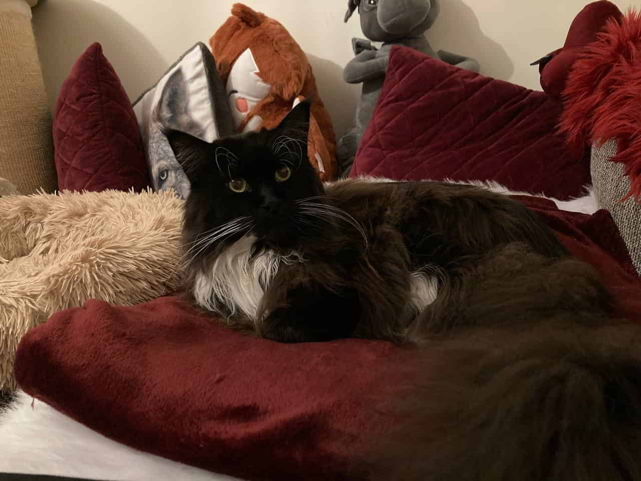 Quentin wünscht einen entspannten Abend