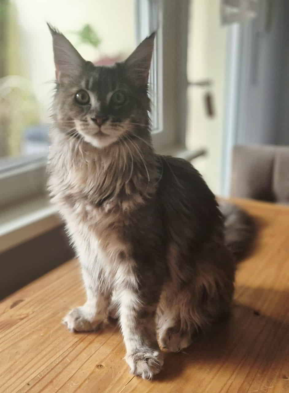 Schönes Wochenende von Bessie, heute mit stolzen 5310 g