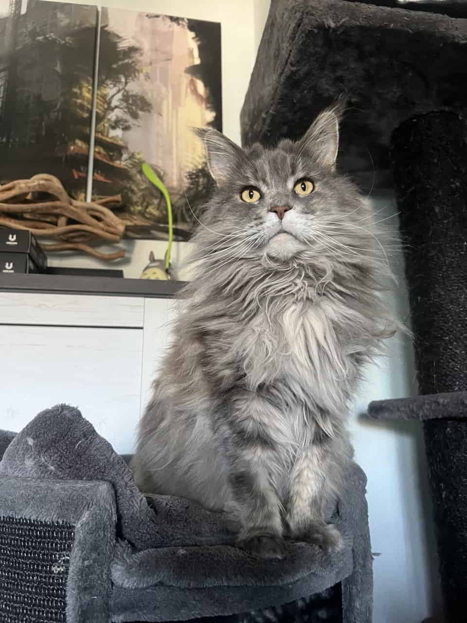 Steffi wünscht ein schönes Wochenende