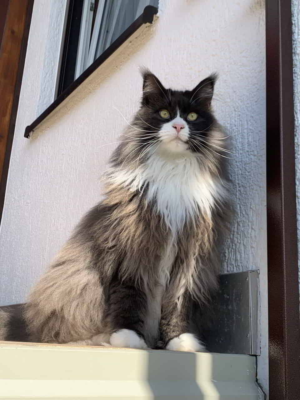 Vielen lieben Dank für die vielen Geburtstagsgrüße. Eure Molly