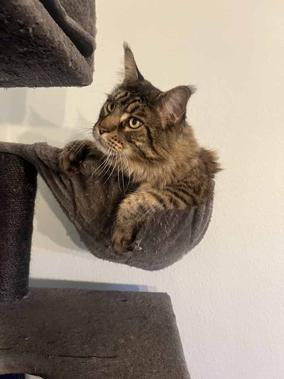 Volker geht’s zur Zeit sehr gut