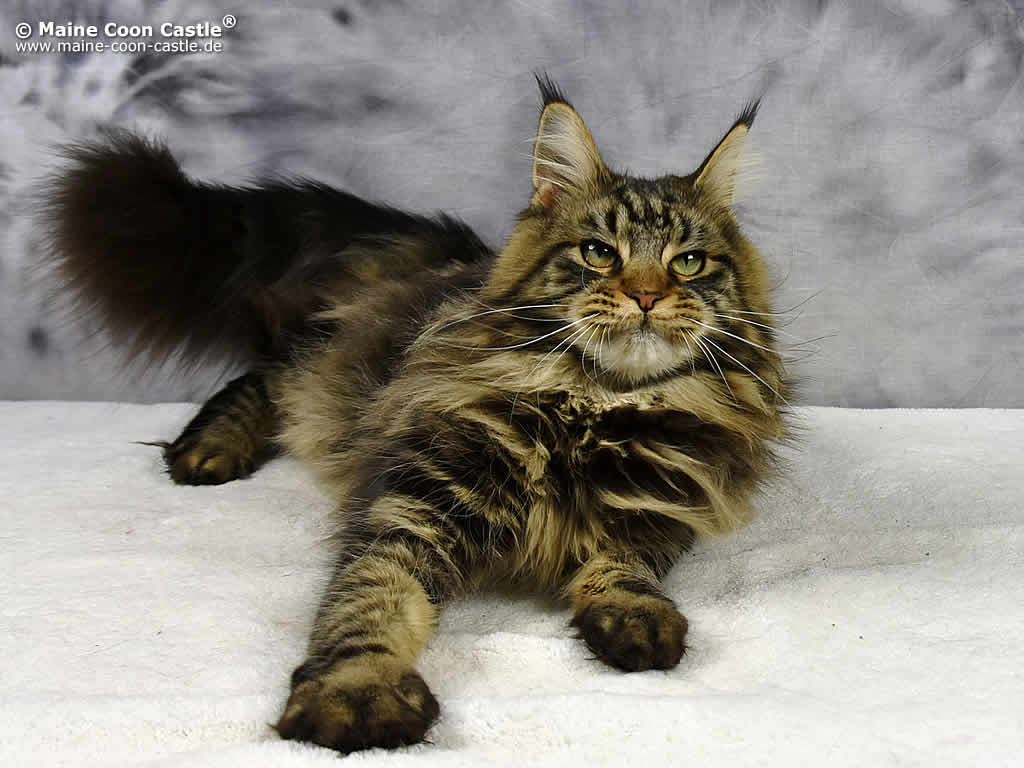 Zarina 10 Monate alt