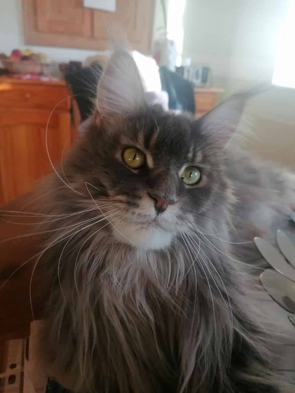 einen schönen Sonntag wünscht Ruby