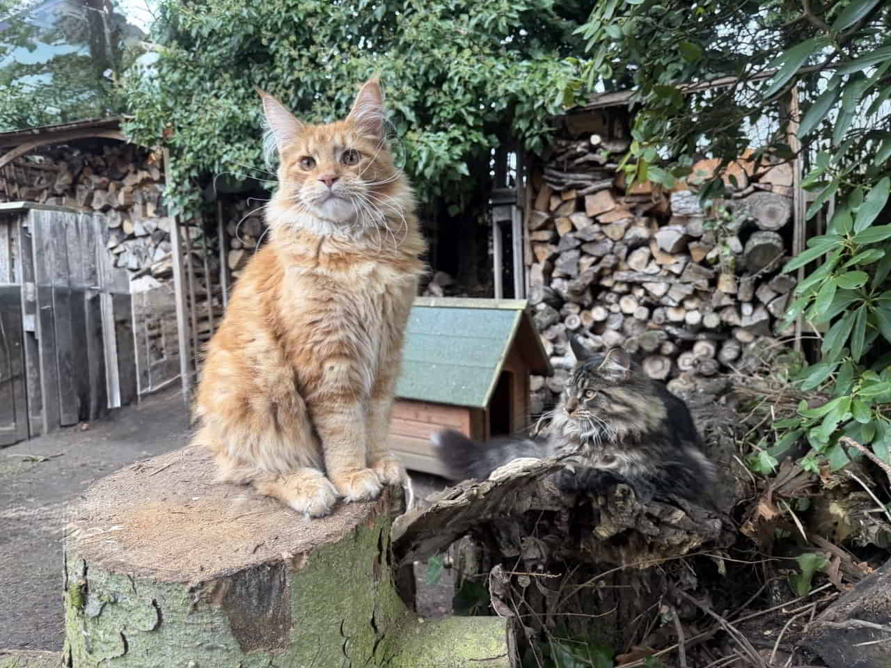 Dean wiegt heute 5367 g Dean wiegt heute 5367 g