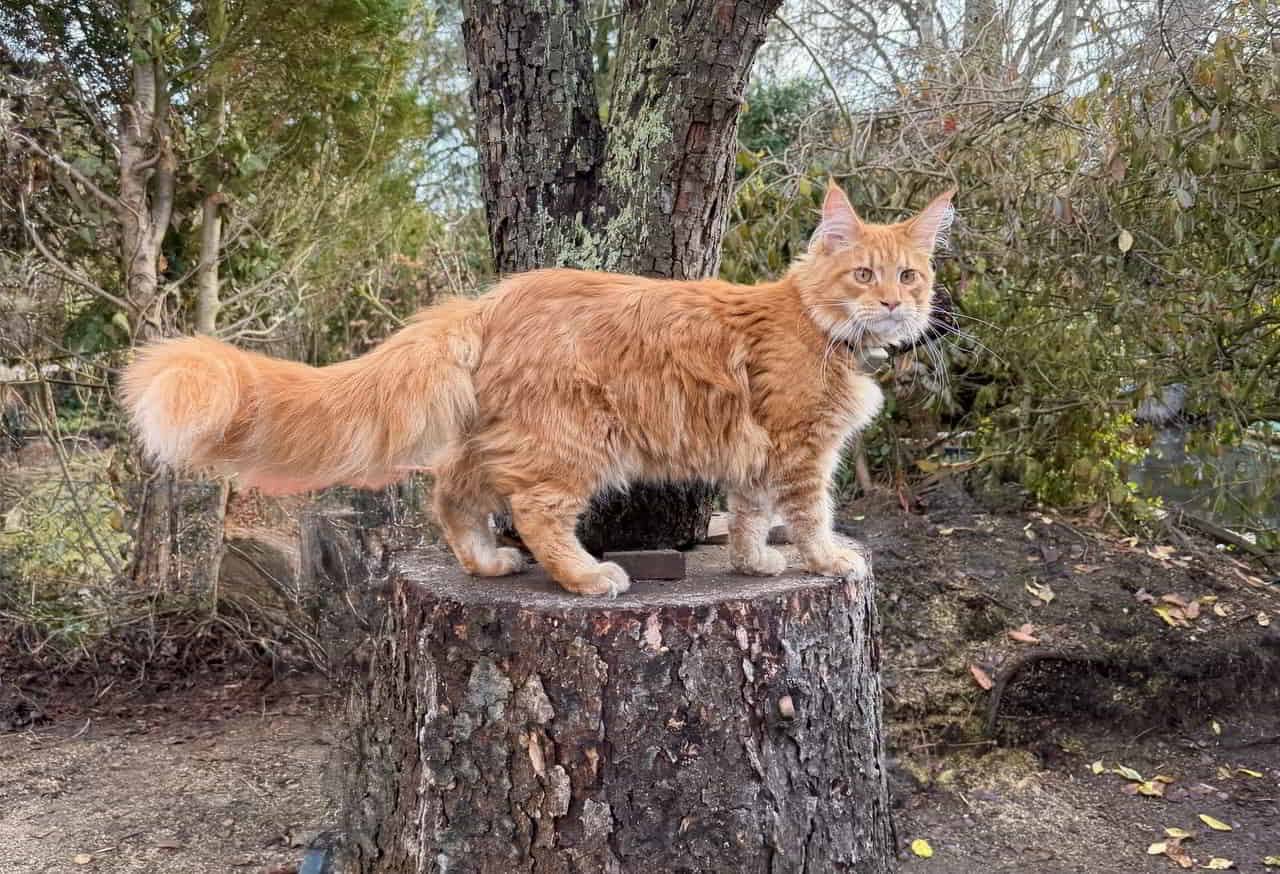 Dean 🧡🥰 wiegt heute 5142 g Dean 🧡🥰 wiegt heute 5142 g