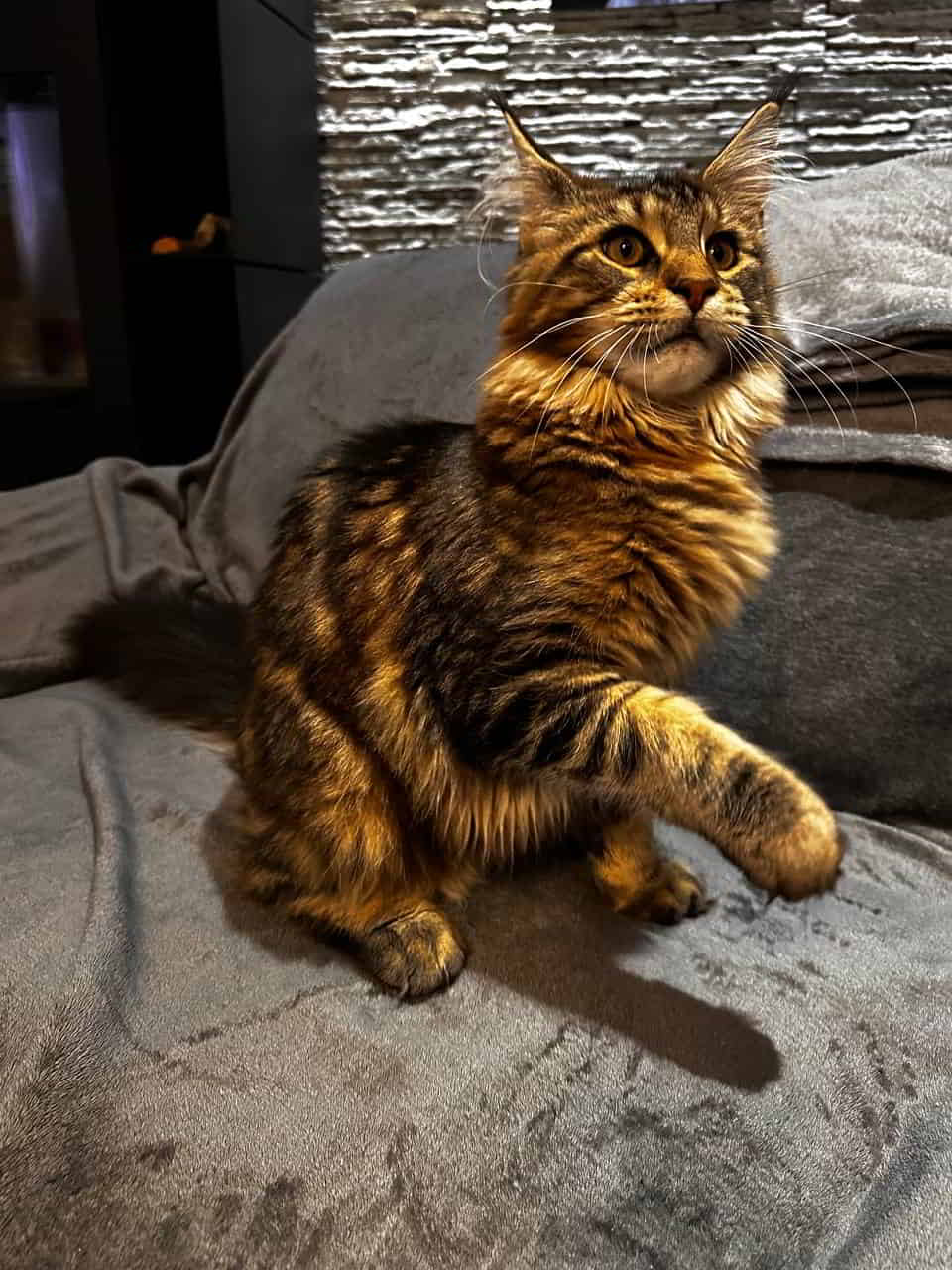 Dylan wiegt 4,2kg Dylan wiegt 4,2kg