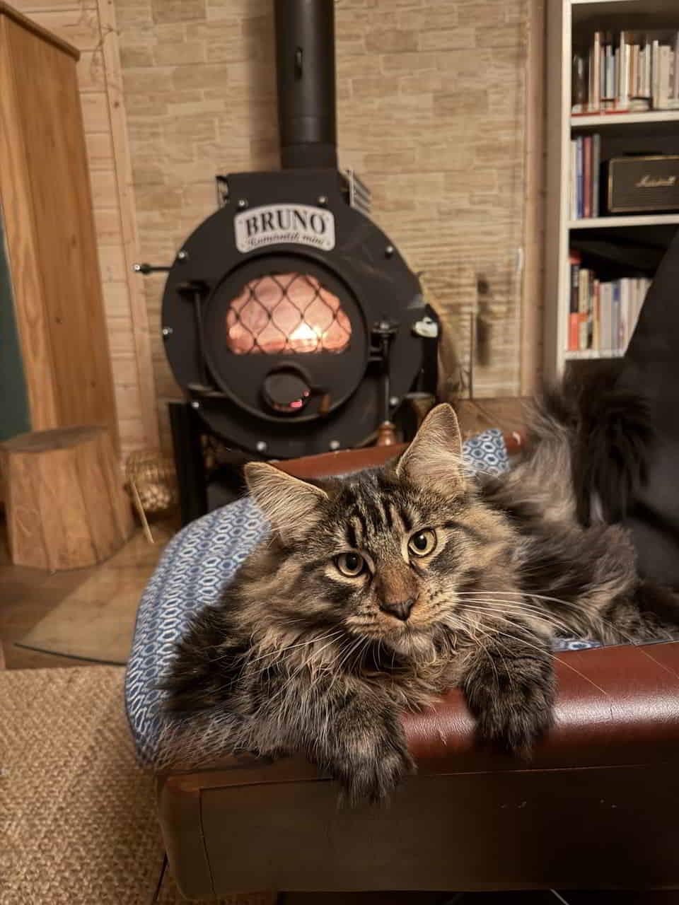 Enzo wiegt heute 5560 g Enzo wiegt heute 5560 g