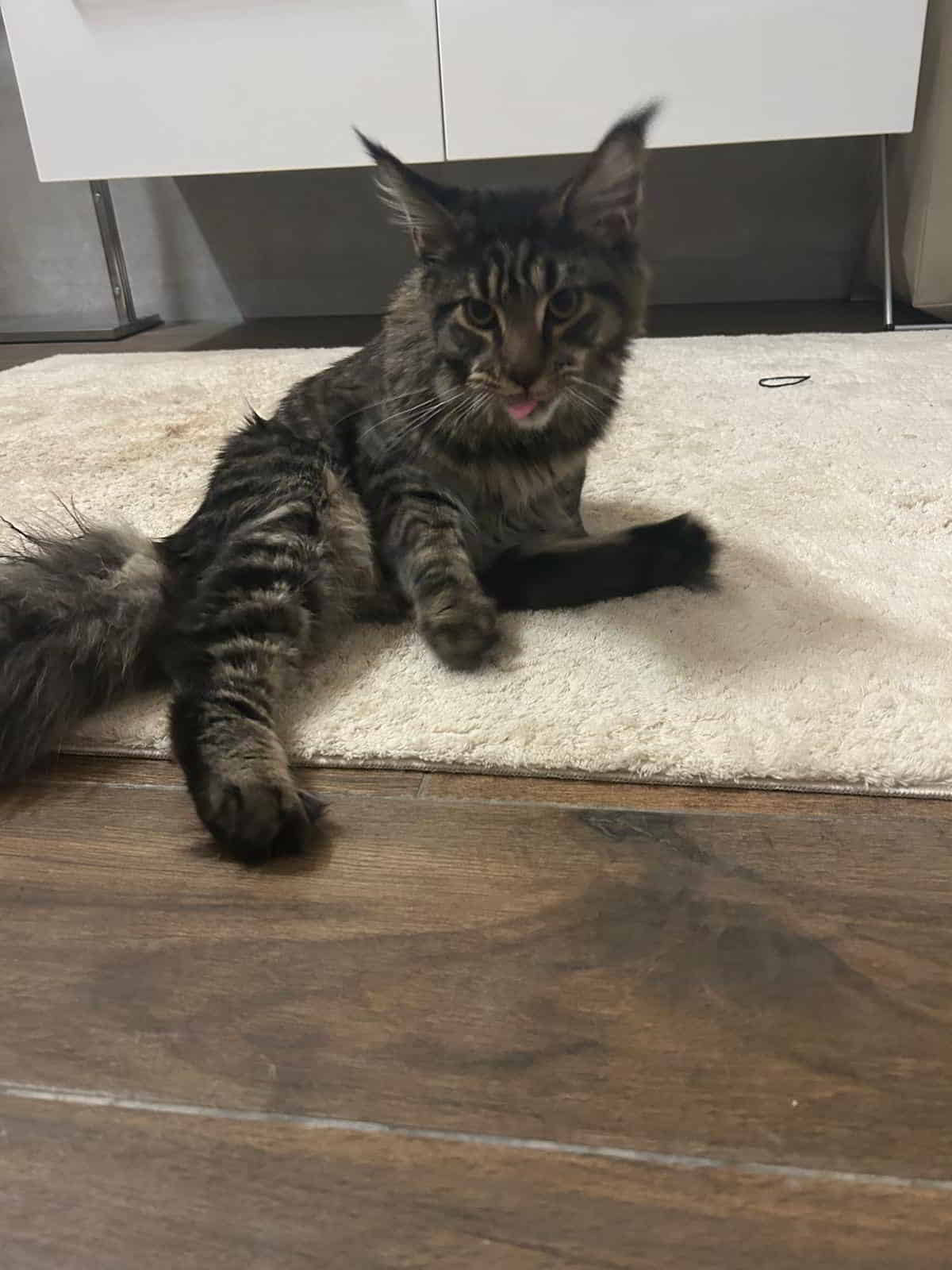 Grüße von Bobbie Grüße von Bobbie