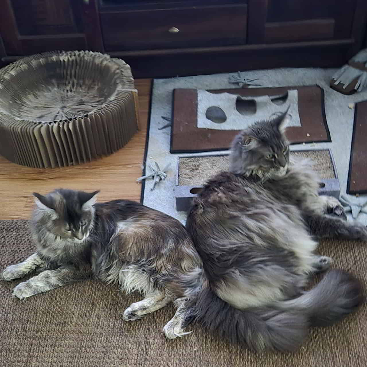 Mama ist doch die Beste Mama ist doch die Beste