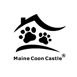 Maine Coon Zucht Maine Coon Castle