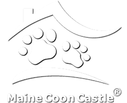Maine Coon Zucht Maine Coon Castle