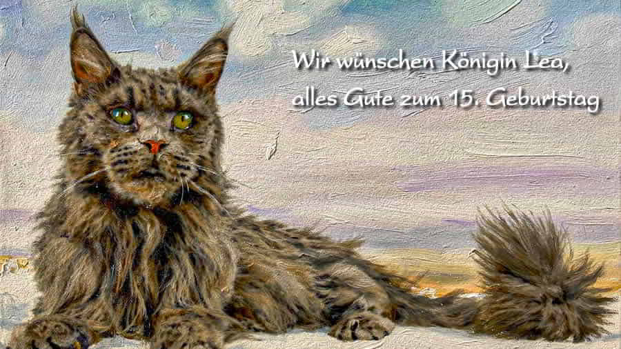 Maine Coon Blog - Maine Coon Report 01/2026